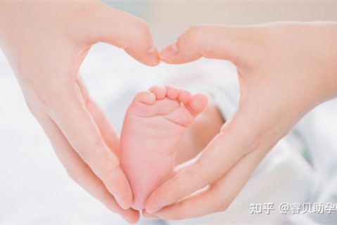 夏天天津捐卵宝宝发烧 莫要急